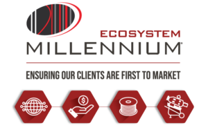 Image of the Millennium Ecosystem